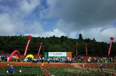 2019云南蔬菜種業(yè)博覽會(huì)開幕，推動(dòng)種業(yè)創(chuàng)新與蔬菜產(chǎn)業(yè)升級(jí)