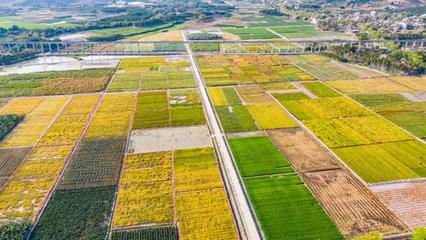 種業(yè)振興 筑牢大國(guó)糧倉(cāng)的基石