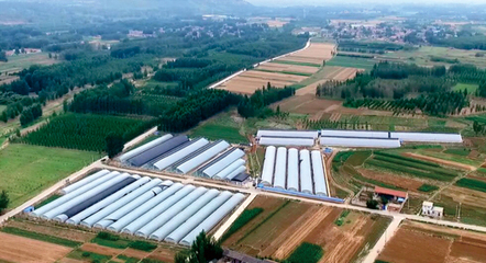 山東宇泰生物種業(yè) 聚焦種業(yè)創(chuàng)新，助力農(nóng)業(yè)強(qiáng)國(guó)建設(shè)